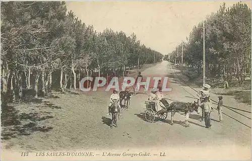 Cartes postales Les Sables d'Olonne L'Avenue Georges Godet Ane Mule