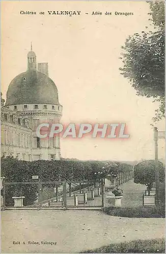 Cartes postales Chateau de Valencay Allee des Orangers