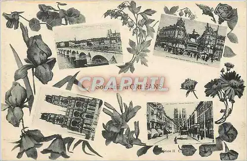Cartes postales Souvenir d'Orleans