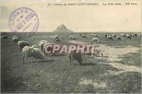 Ansichtskarte AK Greves du Mont Saint Michel Les Pres Sales Moutons