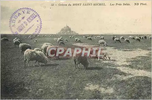 Cartes postales Greves du Mont Saint Michel Les Pres Sales Moutons