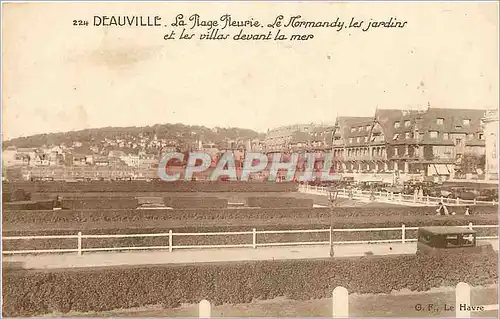 Cartes postales Deauville La Plage Fleurie