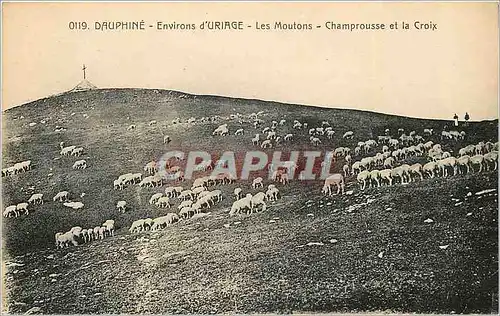 Cartes postales Dauphine Environs d'Uriage Les Moutons Champrouse et la Croix Moutons
