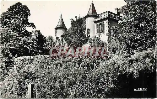 Cartes postales moderne Pontgibaud Puy de Dome Chateau du Pinacle