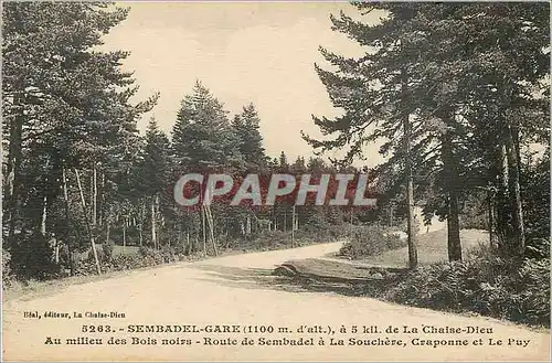 Cartes postales Sembadel Gare de La Chaise Dieu Au milieu des Bois noirs