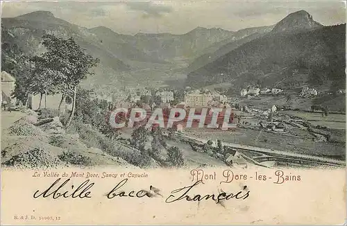 Cartes postales Mont Dore les Bains