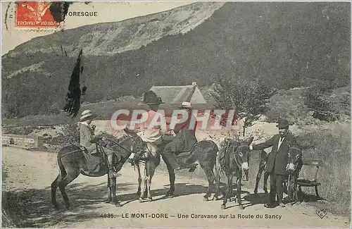 Cartes postales Le Mont Dore Une Caravane sur la Route du Sancy Ane Mule