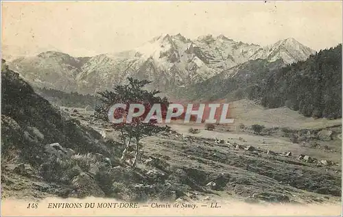 Ansichtskarte AK Environs du Mont Dore Chemin de Sancy