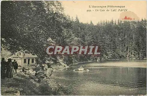 Cartes postales Un Coin du Lac Pavin