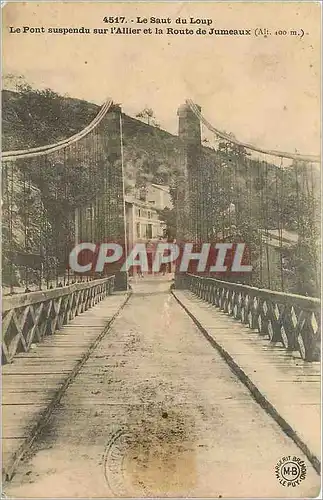 Cartes postales Le Saut du Loup Le pont suspendu sur l'Allier et la Route de Jumeaux