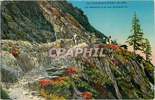 Cartes postales Chamonix Mont Blanc La descente a la mer de glace