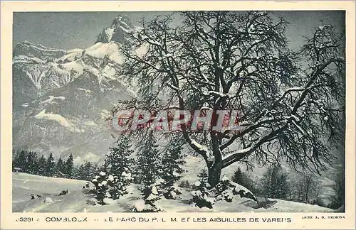 Cartes postales Combloux Le Parc du PLM et les Aiguilles de Vareus