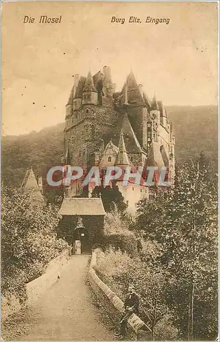 Cartes postales Die Mosel Burg Ellz Eingang