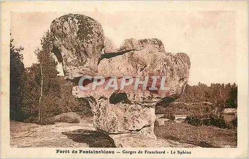 Ansichtskarte AK Foret de Fontainebleau Gorges de Franchard Le Sphinx