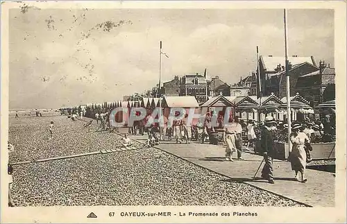 Cartes postales Cayeux sur Mer La Promenade des Planches