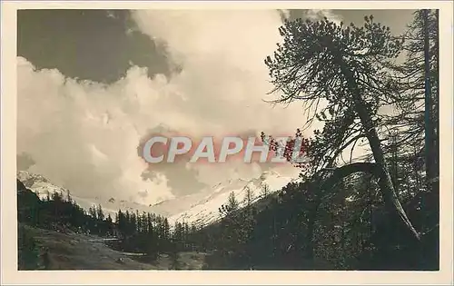 Cartes postales Sils Maria im Engadin Blick ins Fextal von Laret
