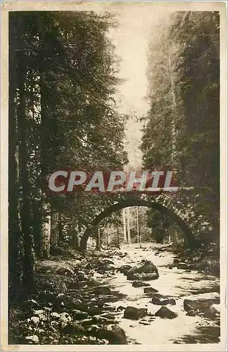 Cartes postales Gerardmer Le Pont des Fees