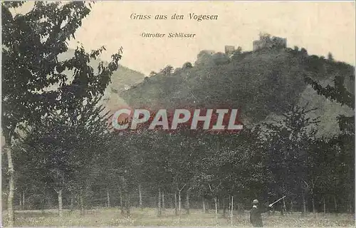 Cartes postales Gruss aus den Vogesen