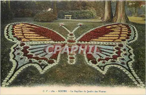 Ansichtskarte AK Rouen Le Papillon du Jardin des Plantes