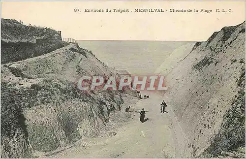 Cartes postales Environs du Treport Mesnilval Chemin de la Plage