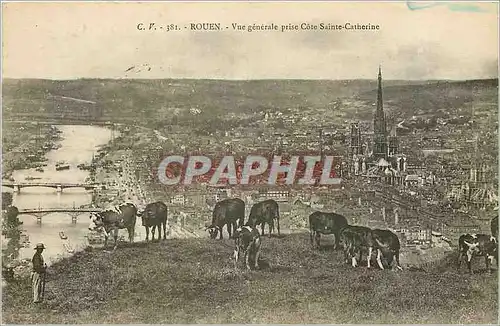 Ansichtskarte AK Rouen Vue Generale prise Cote Sainte Catherine Vaches