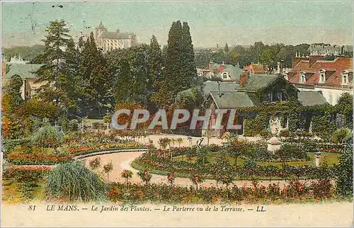 Cartes postales Le Mans Le Jardin des Plantes Le Parterre vu de la Terrasse