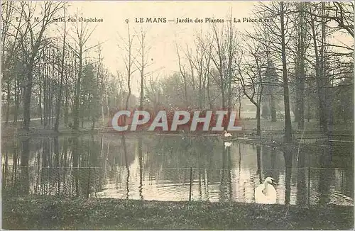 Ansichtskarte AK Le Mans Jardin des Plantes La Piece d'eau Cygne