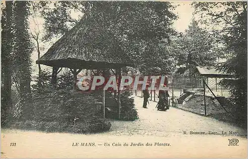 Cartes postales Le Mans Un Coin du Jardin des Plantes