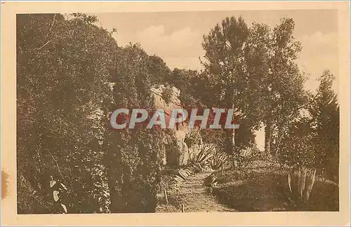 Ansichtskarte AK Insel brioni I d Adria