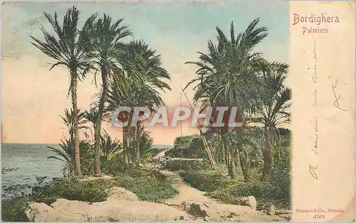 Cartes postales Bordighera Palmiers