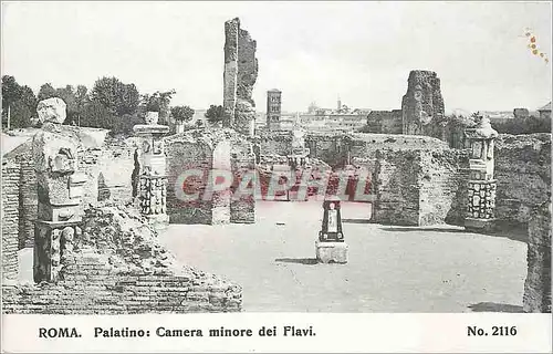 Cartes postales Roma Palatino Camera minore dei Flavi