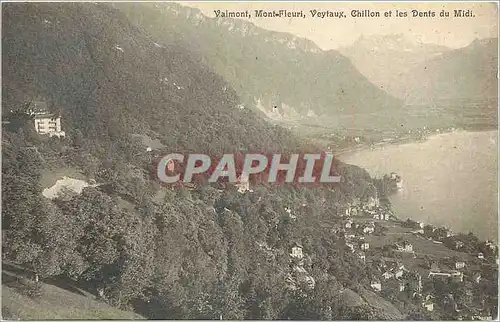 Ansichtskarte AK Valmont Mont fleurit veytaux Chillon et les dents du Midi