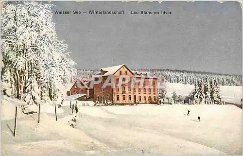 Cartes postales Lac blanc en hiver