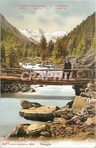 Cartes postales Rosegtal