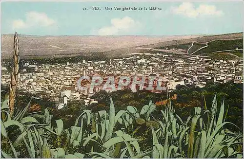 Cartes postales Fez une vue generale de la Medina