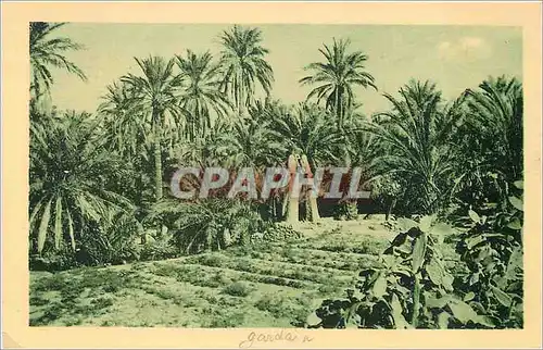 Cartes postales Chardaia Oasis et Puits