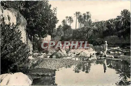 Cartes postales Scenes et types paysage du sud