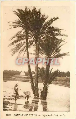 Cartes postales Scenes et types paysage du sud