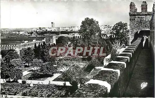 Cartes postales Rabat Chemin de Ronde des ouadaias