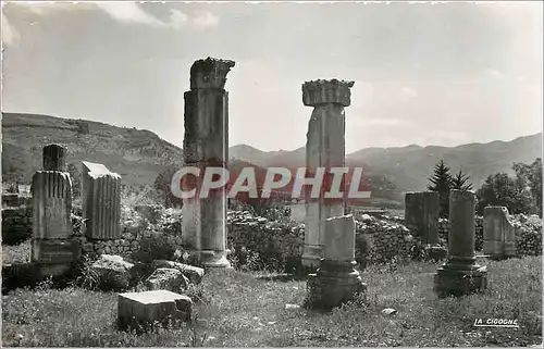 Cartes postales Volubilis Porte Est du Capital