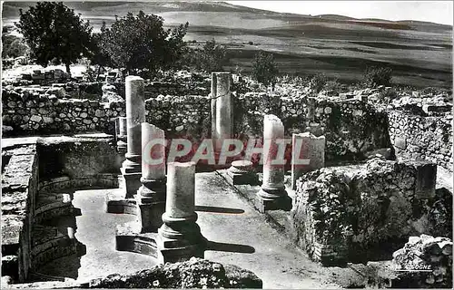 Cartes postales Volubilis Maison d'Orphee