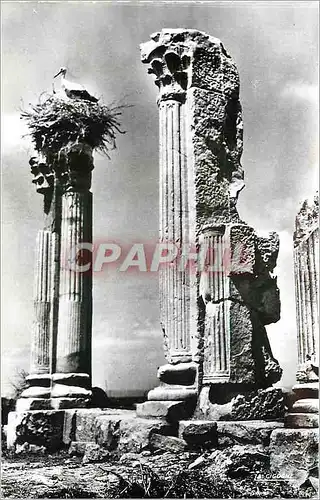 Ansichtskarte AK Volubilis maison aux colonnes