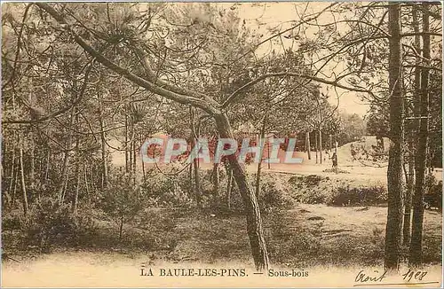 Cartes postales La bauleles pins sous bois