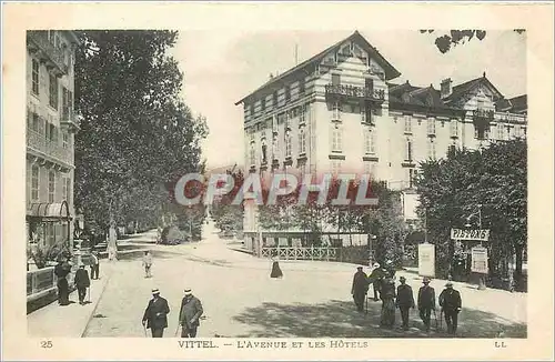 Cartes postales Vittel l'avenue et les hotels