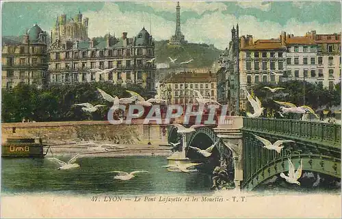 Cartes postales Lyon le Pont Lafayette et les Mouettes TT