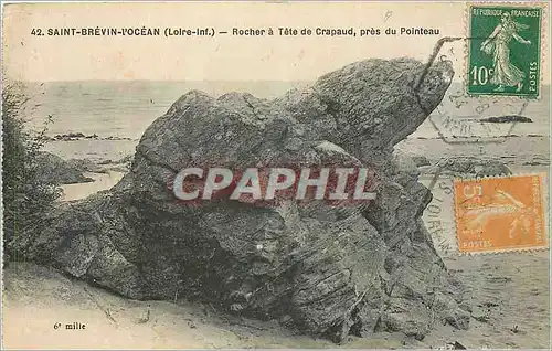 Ansichtskarte AK Saint brevin l'ocean Loire inf Rocher a tet de Crapaud pres du Pointeau