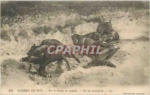 Ansichtskarte AK Guerre 1914 Sur le champ de bataille Chevaux Militaria