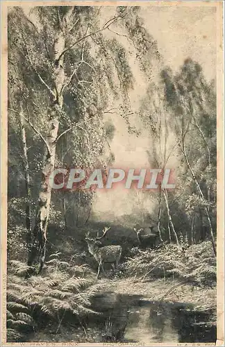 Ansichtskarte AK Biche