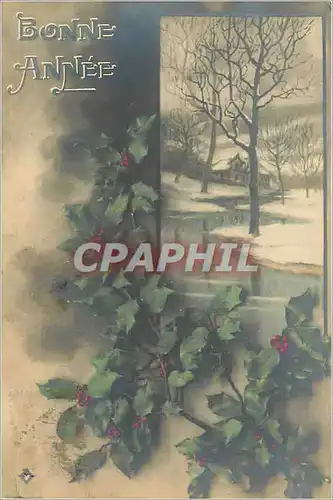 Cartes postales Voeux