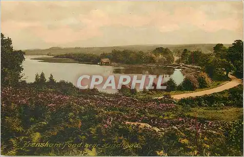 Cartes postales Frensham Pond near Hindhead